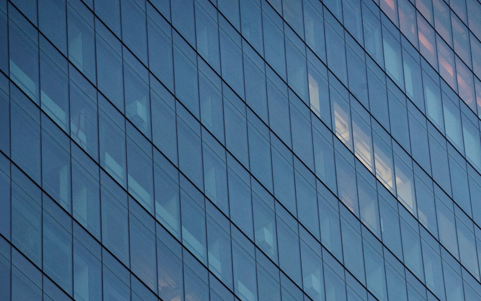 Modern commercial storefront with a wall of glass treated with architectural window film